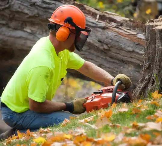 tree services Gordon Heights